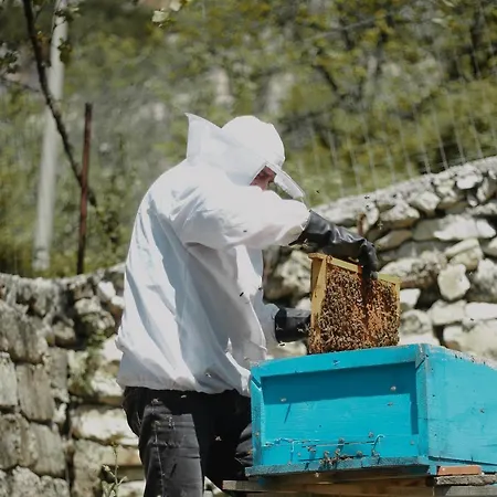 Шале Village Bashaj